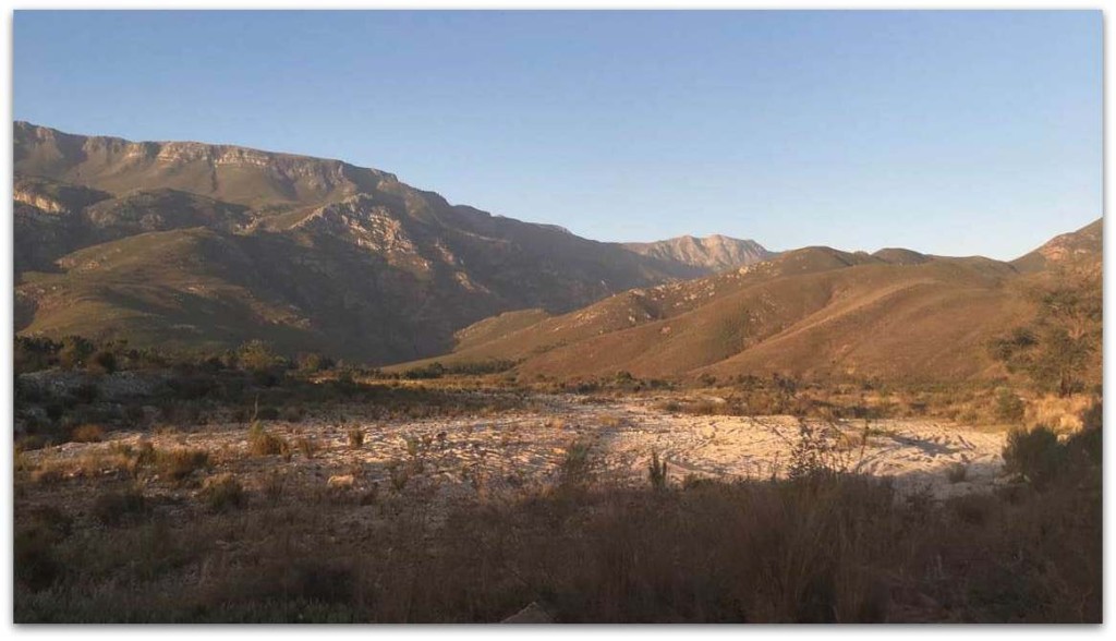 Ayahuasca in the mountains South Africa